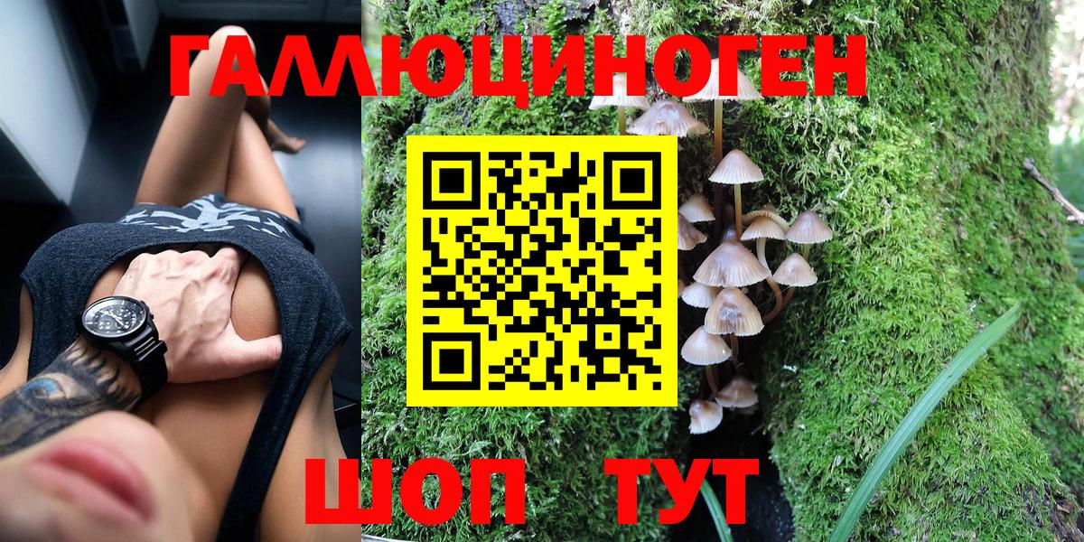 Псилоцибиновые грибы Magic Shrooms Прохладный